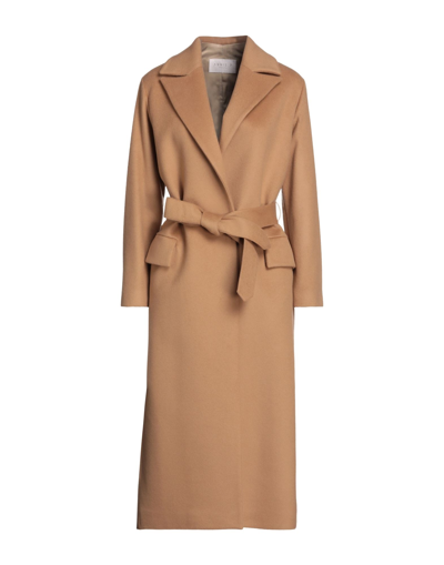 Shop Annie P . Woman Coat Camel Size 12 Virgin Wool, Polyamide, Cashmere In Beige