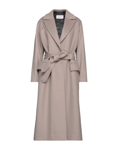 Shop Annie P . Woman Coat Dove Grey Size 8 Virgin Wool, Polyamide, Cashmere