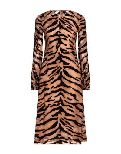 Shop Dolce & Gabbana Woman Midi Dress Camel Size 12 Polyamide, Silk In Beige