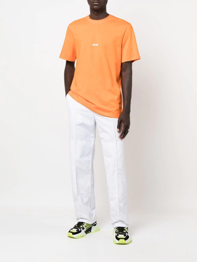 Shop Msgm Logo-print Cotton T-shirt In Orange