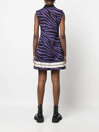 Shop Palm Angels Zebra-print Shift Minidress In Purple