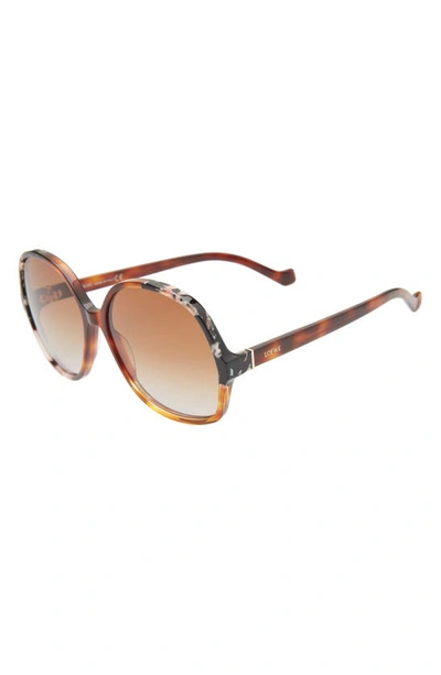 Shop Loewe 61mm Gradient Round Sunglasses In Light Havana/ Brown Grey