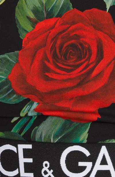 Shop Dolce & Gabbana Logo Floral Print Stretch Silk Bustier Crop Top In Hn2zo Rose Fdo Nero