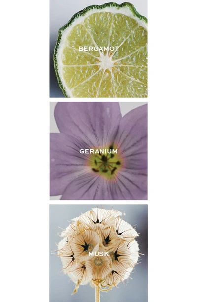 Tory Burch Essence Of Dreams Mystic Geranium Eau De Parfum Fragrance Collection