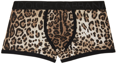 Shop Dolce & Gabbana Beige Leopard Boxers In Ha93m Leo