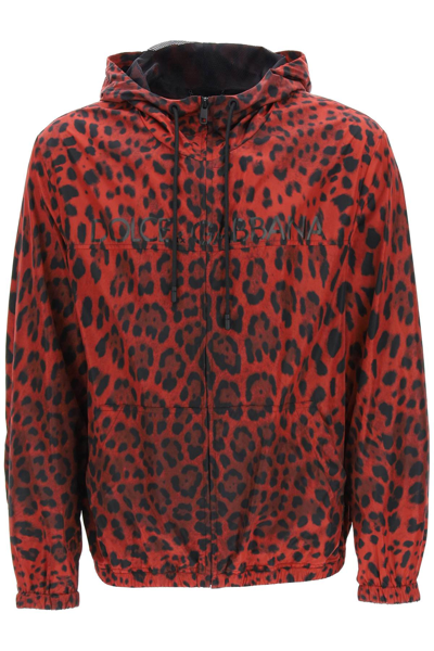 Shop Dolce & Gabbana Leopard Print Nylon Blouson In Multicolor