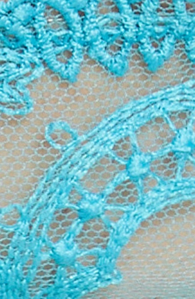 Shop Bluebella Marseille Lace Thong In Peacock Blue