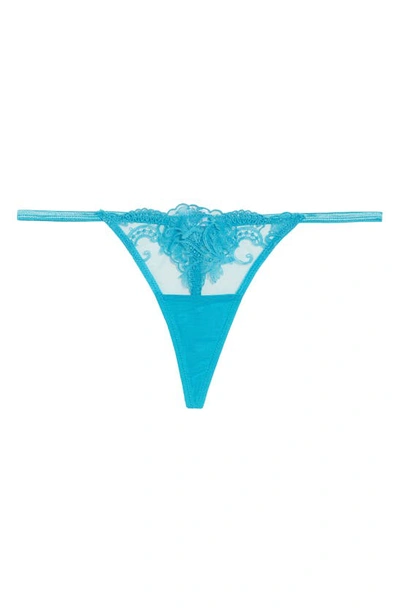 Shop Bluebella Marseille Lace Thong In Peacock Blue