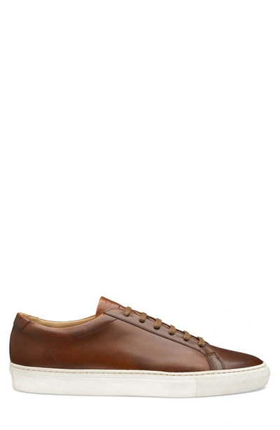 Loake Sprint Leather Sneaker In Brown | ModeSens