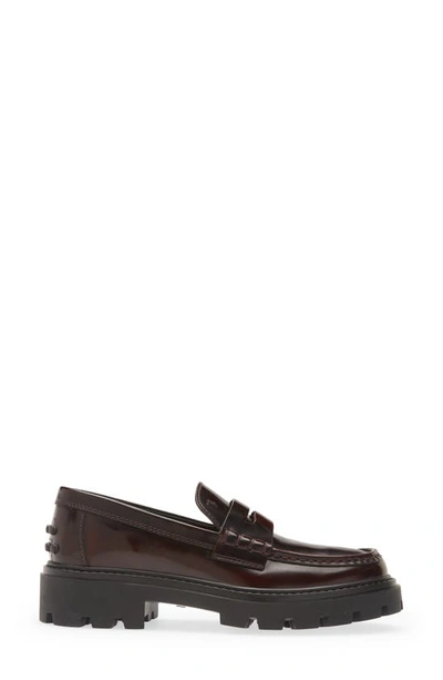 Shop Tod's Lug Sole Loafer In Mosto