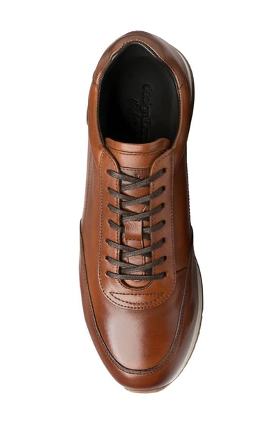 Shop Loake Bannister Sneaker In Cedar