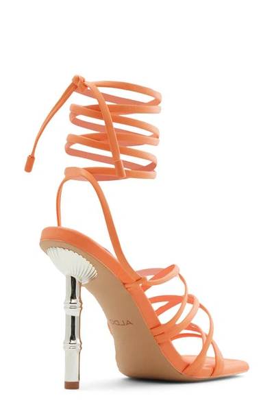 Shop Aldo Bodisse Ankle Wrap Sandal In Bright Orange