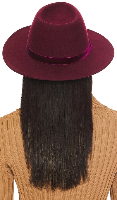 BLAINE 帽类 – 波尔多红葡萄酒色