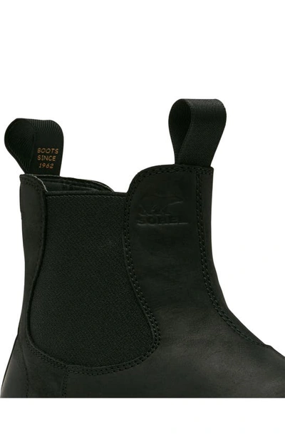 Shop Sorel Hi-line Chelsea Boot In Black/ Elk