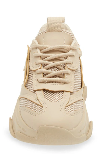 Steve Madden Possession Chunky Lace-up Sneakers In Tan-neutral In Tan