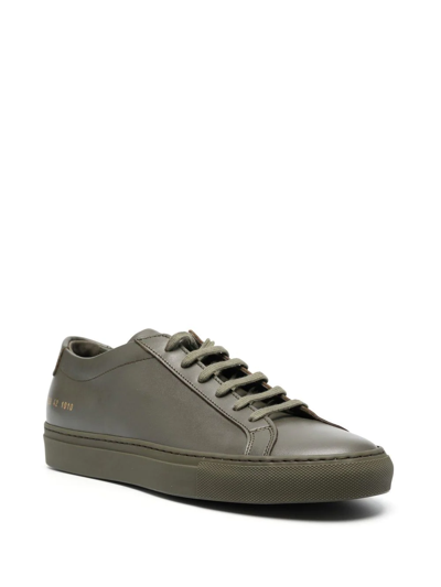 Common Projects Original Achilles Low Leather Sneaker In Green