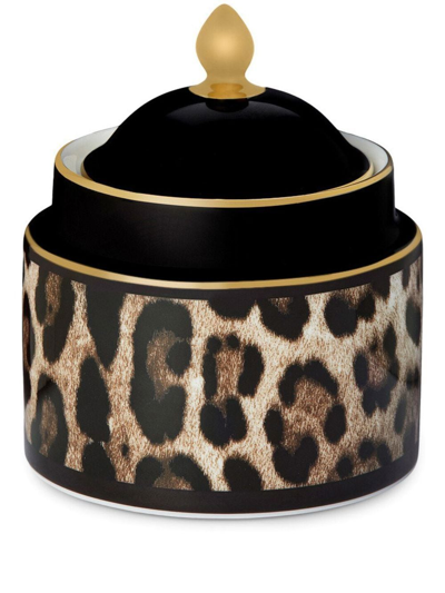 Shop Dolce & Gabbana Leopard-print Porcelain Sugar Bowl In Black