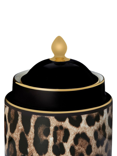 Dolce & Gabbana Leopard-print Porcelain Sugar Bowl In Black