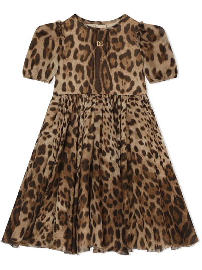 Shop Dolce & Gabbana Leopard-print Chiffon Midi Dress In Brown