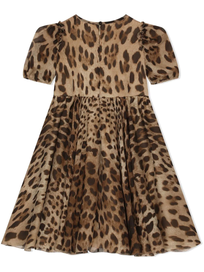 Shop Dolce & Gabbana Leopard-print Chiffon Midi Dress In Brown