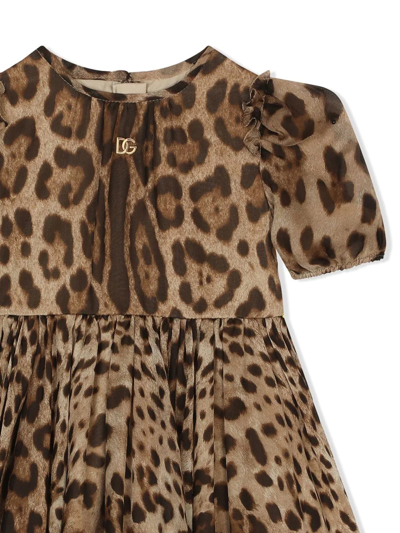 Shop Dolce & Gabbana Leopard-print Chiffon Midi Dress In Brown