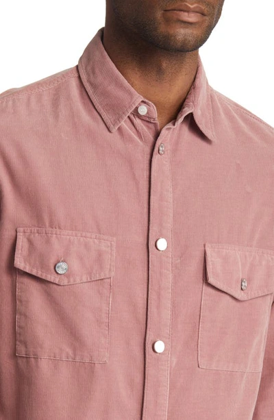 Shop Frame Long Sleeve Corduroy Button-up Shirt In Dress Rose