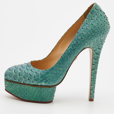 Pre-owned Charlotte Olympia Turquoise Blue Python Leather Priscilla Platform Pumps Size 38