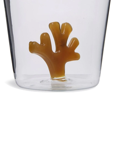 Shop Ichendorf Milano Coral Reef Set-of-six Assorted Tumblers In Weiss