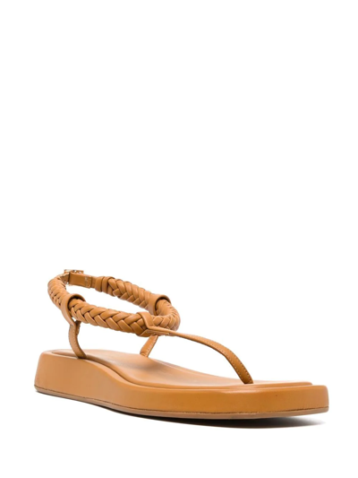Shop Gia Borghini X Rosie Huntington-whiteley 3 Flat Thong Sandals In Brown