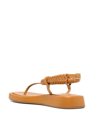 Shop Gia Borghini X Rosie Huntington-whiteley 3 Flat Thong Sandals In Brown