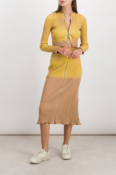 Shop Rabanne Bicolored Ribbed Knitted Midi Skirt In Yellow