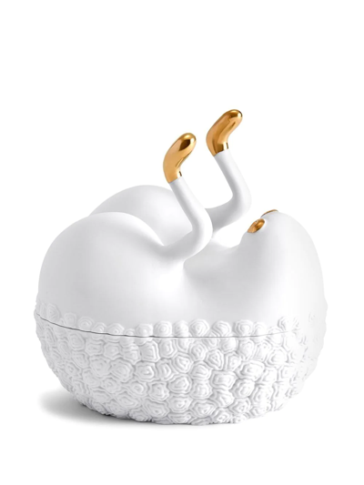 L'objet X Haas Brothers Butts Up Box In Weiss