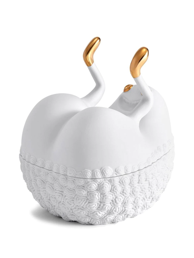 L'objet X Haas Brothers Butts Up Box In Weiss