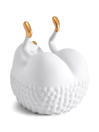 L'objet X Haas Brothers Butts Up Box In Weiss