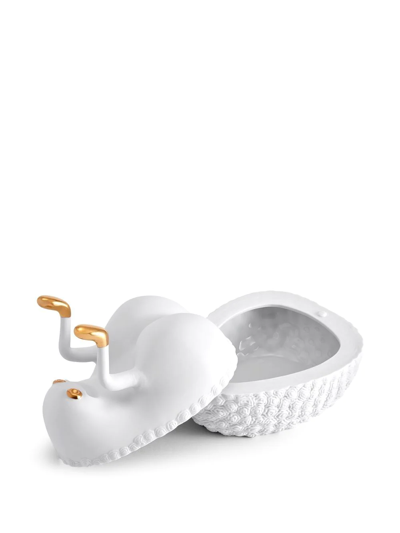 L'objet X Haas Brothers Butts Up Box In Weiss