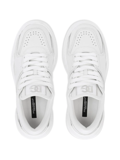 Dolce & Gabbana New Roma Perforated Leather Sneakers In White