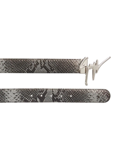 Giuseppe Zanotti Signature Buckle Snakeskin-effect Belt In Black