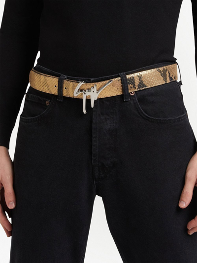 Giuseppe Zanotti Giuseppe Snakeskin-effect Belt In Gold