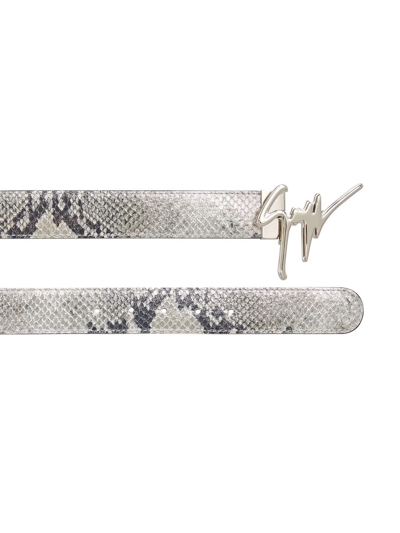 Giuseppe Zanotti Signature Buckle Snakeskin-effect Belt In Grey