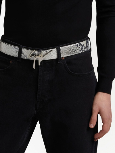 Giuseppe Zanotti Signature Buckle Snakeskin-effect Belt In Grey