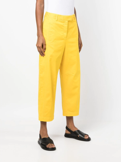 Shop Alberto Biani Wide-leg Cropped Trousers In Gelb