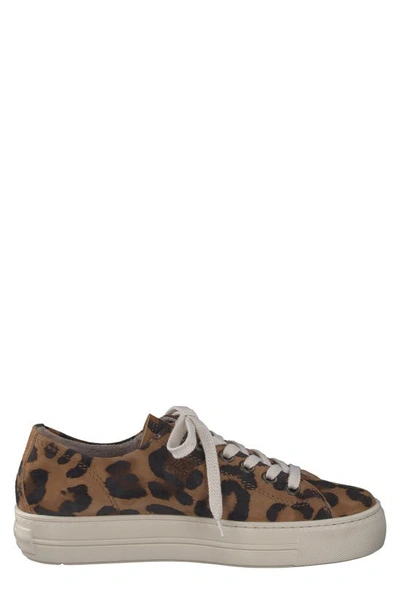 Shop Paul Green Bixby Platform Sneaker In Leopard White Combo