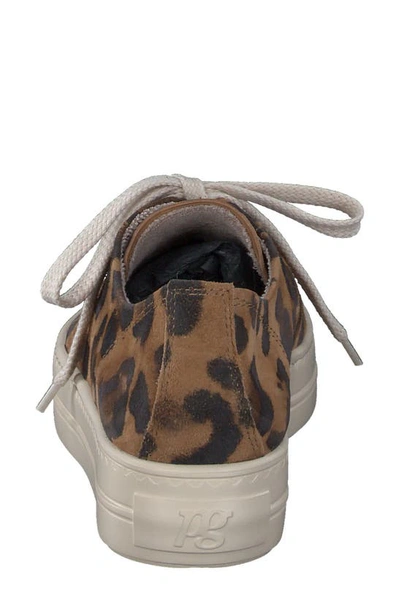 Shop Paul Green Bixby Platform Sneaker In Leopard White Combo
