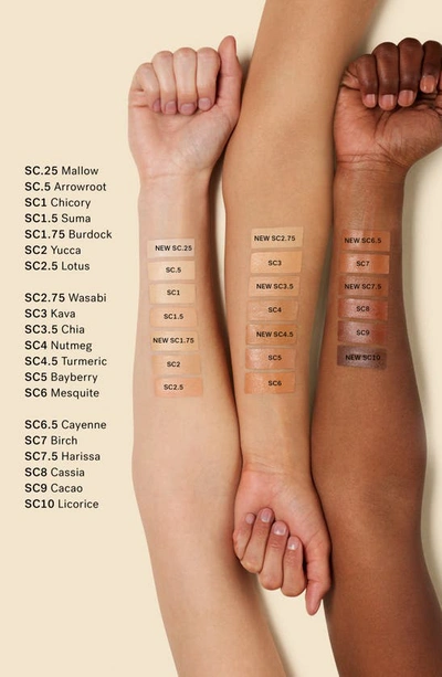 Shop Ilia True Skin Serum Concealer In Lotus Sc2.5