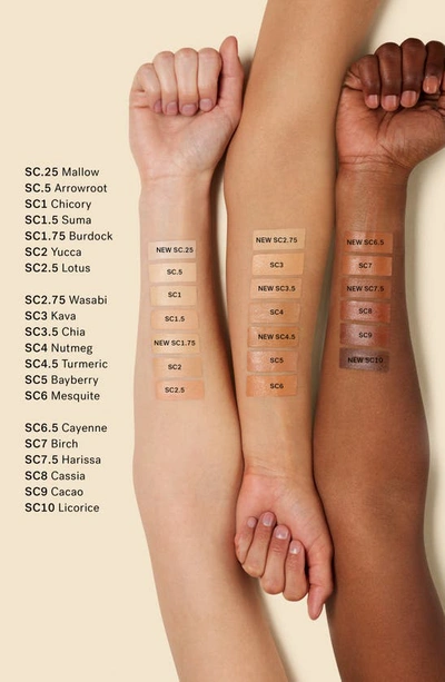 Ilia True Skin Serum Concealer With Vitamin C Lotus Sc2.5 0.16 / 5 In Lotus Sc2.5