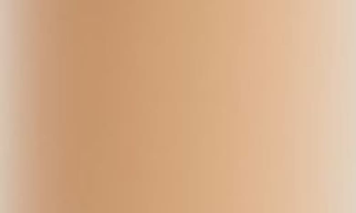 Ilia True Skin Serum Concealer With Vitamin C Bayberry Sc5 0.16 / 5 In Bayberry- Sc5