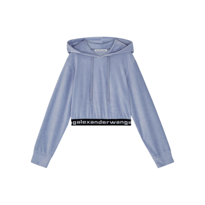 Shop Alexander Wang Blue Hooded Cropped Stretch-corduroy Sweatshirt In Grey