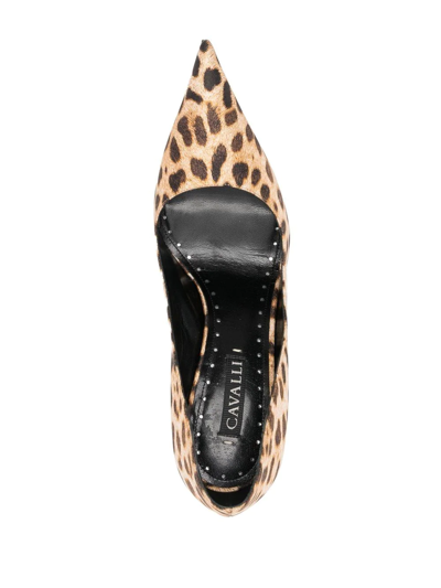 Roberto Cavalli Leopard-print Pumps In Brown