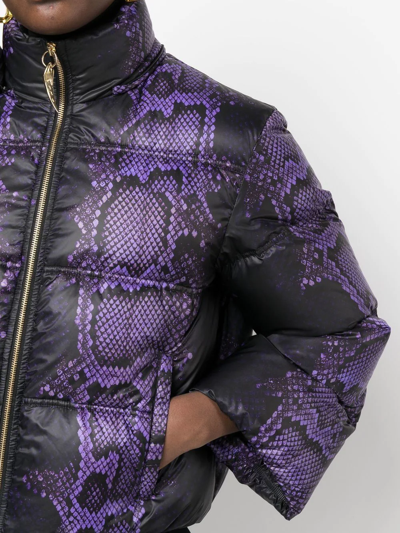 Shop Roberto Cavalli Snake-print Padded Jacket In D2061
