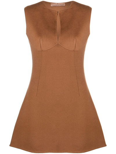 Shop Ermanno Scervino Sleeveless Flared Mini Dress In Brown